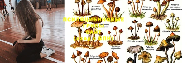 МДПВ Коряжма