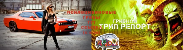 МДПВ Коряжма