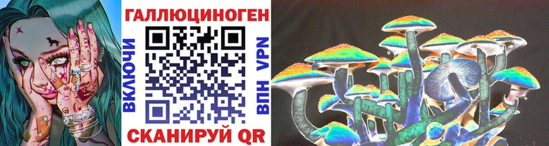 Псилоцибиновые грибы прущие грибы  Хасавюрт 