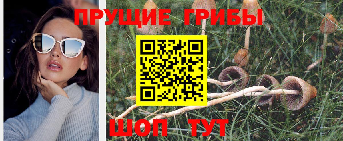 Псилоцибиновые грибы ЛСД Хасавюрт
