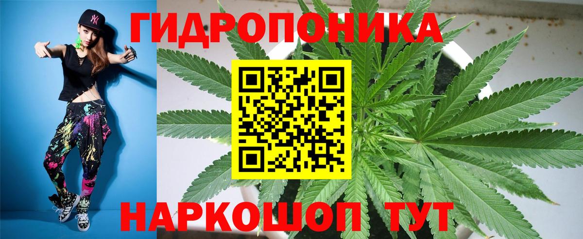 Канабис гибрид  Каннабис марихуана  Хасавюрт  Бошки марихуана план  Вход с VPN 